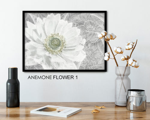 FLOWER ANEMONE 1 PRINT