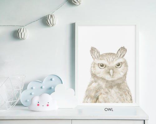 OWL PRINT 1